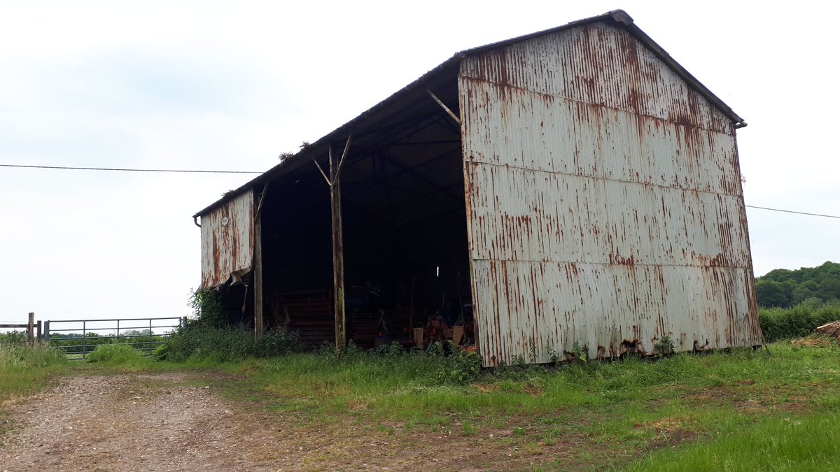 Corrugated cathedral. Some engaging farm building dilapidation near Petworth, West Sussex.

#corrugated
#farmbuildings
#liminalspace