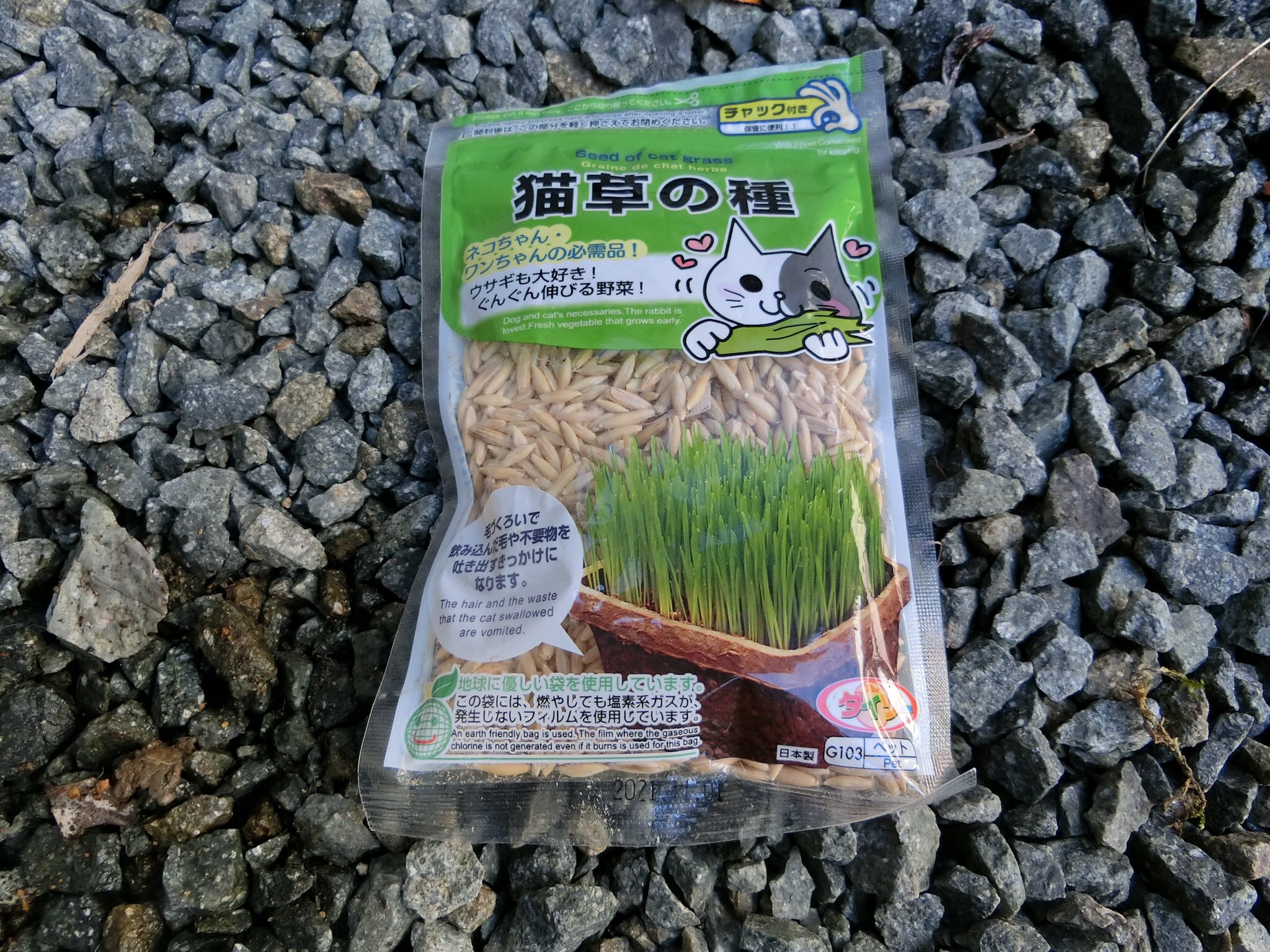 Faarashi 猫草の種を蒔きました ダイソーで販売されている 麦の種です 表面の土が乾かない様 日陰で管理すると 3 ４日で発芽します 後 日が当たるところで一週ほど育てると食べ頃になります 猫の草 T Co Qysqp8hwdy Twitter