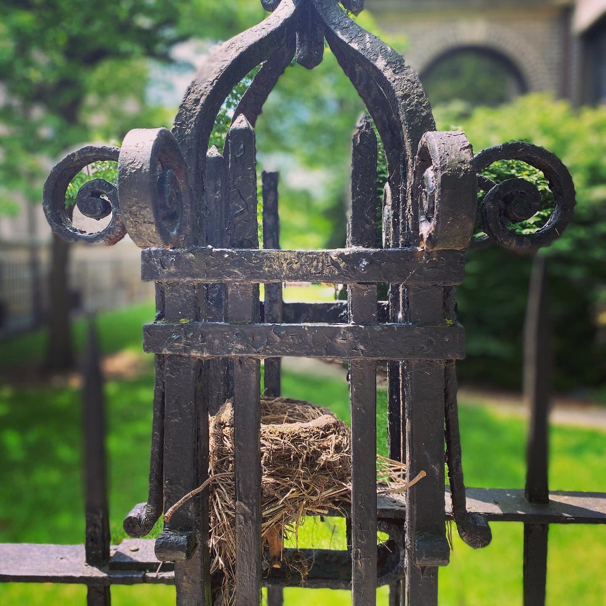 marlzipan's tweet image. Peek inside! 👁 &amp;gt;&amp;gt; 💎s on our walk today. #Hoboken #stillspring #aretheyoktho