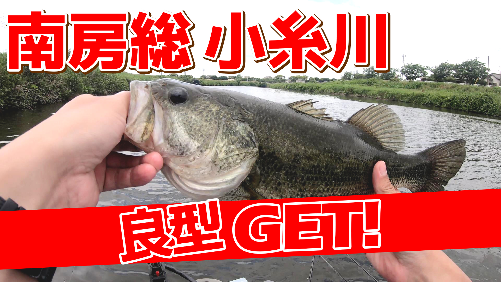 まるみのカバー撃ちまくりチャンネル على تويتر Youtube更新しました 房総河川 小糸川 フロートボート釣行 魚が太いっ T Co 4rilv1talu 小糸川ミッション達成 良い魚が獲れて大満足な釣行 ドライブビーバーのスキッピング映像も収録 ビーバーは