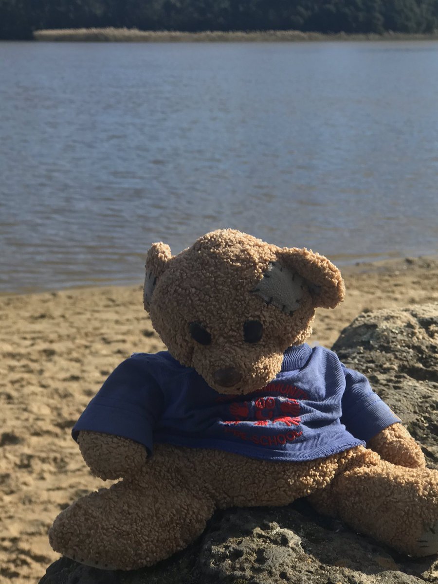 RennisonKate's tweet photo. @communitypresch After a couple of months of lockdown Travelling Ted is making the most of some of the restrictions easing in Australia and is enjoying the winter sunshine ☀️ #travellingteddownunder https://t.co/fGRsz0MNNf