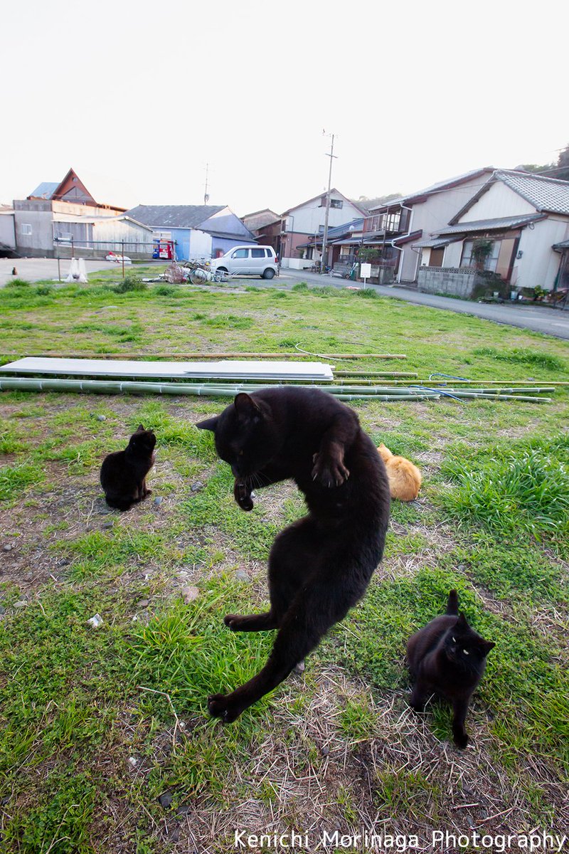 田舎っぺ大将 Twitter Search