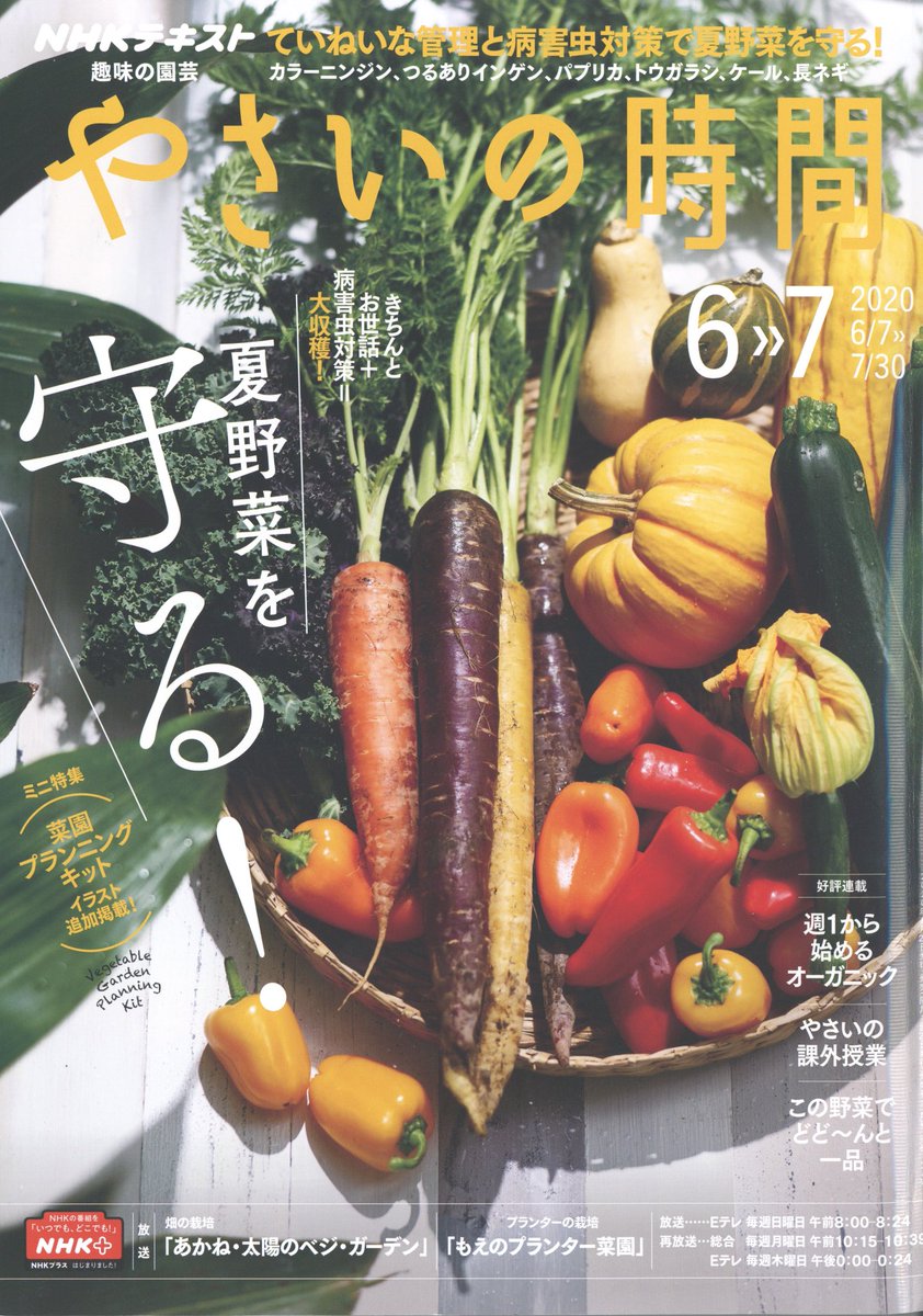 NHK出版「やさいの時間 」2020年6
・7月号で大扉やカットなど沢山イラストを描かせていただきました。夏野菜を守る!がテーマだったので、手のひらの上で伸び伸びと過ごす夏野菜たちを描きました?????
デザインは鍋田哲平さんです。 