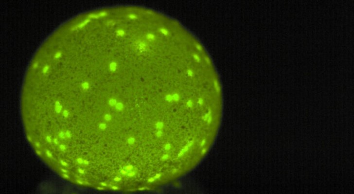 MicroTas2025's tweet photo. Prof. Nguyen's work "The Green Planet" is the winner of Lab on a Chip and NIST Art in Science competition at MicroTAS2018! #microtas2018 #labonachip https://t.co/KeVKIz6Ejh