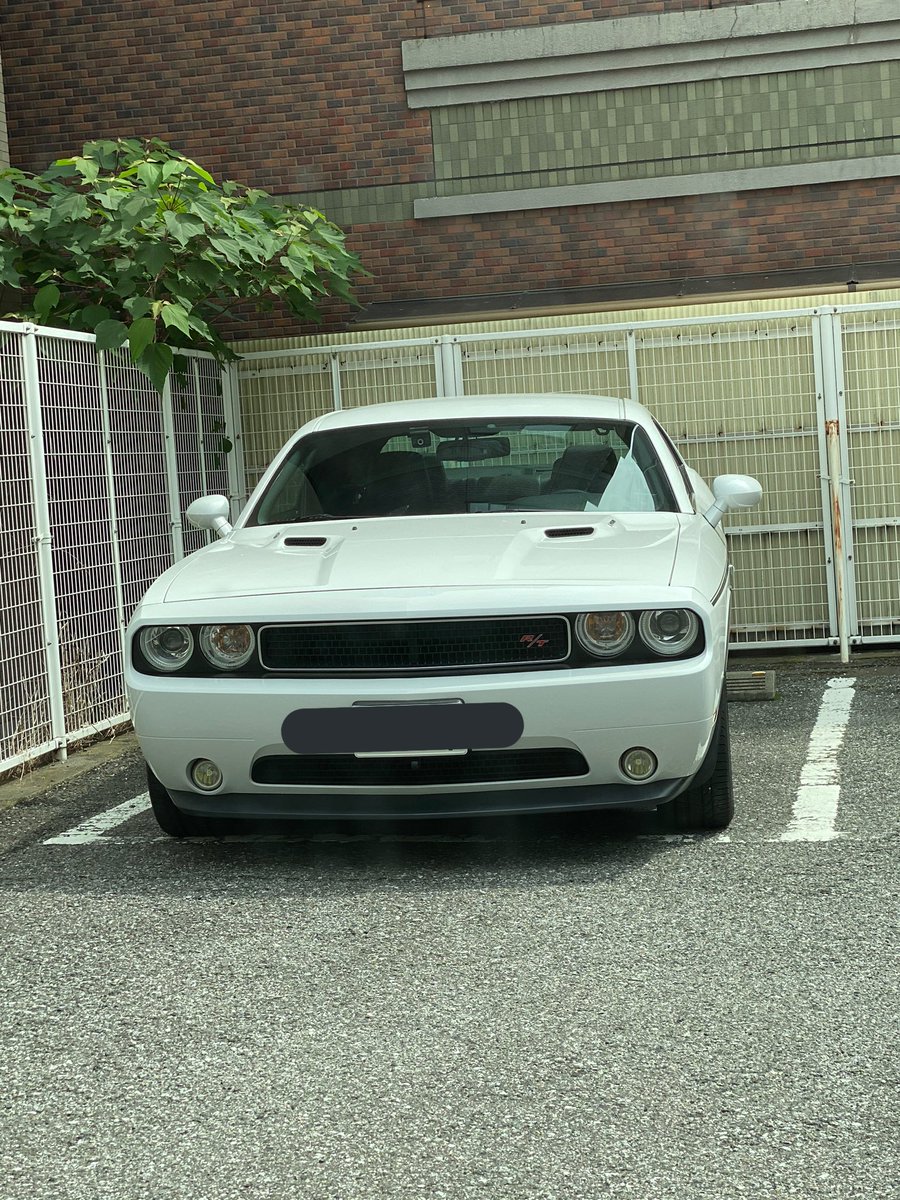 ライオン 最近アメ車見る率高い パーキングで車停めたらまさかの横いた Dodge Challenger ライオン 最近アメ車見る率高い パーキングで車停めたらまさかの横いた Dodge Challenger