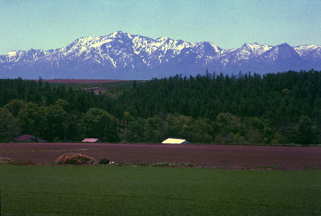 中富良野 Hashtag On Twitter