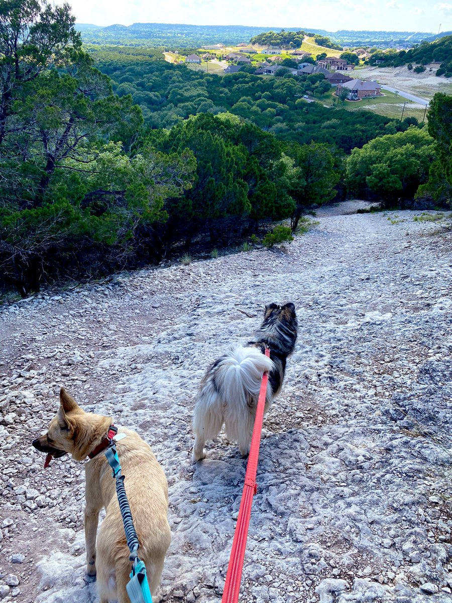 JohnKuk_MD's tweet image. Saw my first therapeutic ED thoracotomy yesterday 🩸! Celebrated by a post call hike. So proud to be part of the @BSWHTemple_SURG #success #surgery #edthoracotomy #medstudenttwitter #MedTwitter