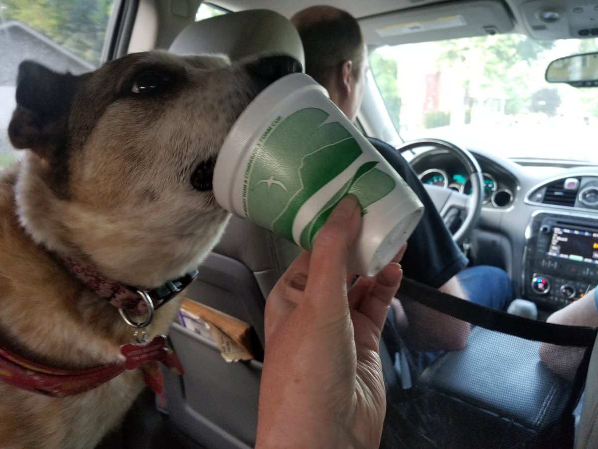 Saturday night. Vanilla ice cream. Whip it good. #cruisethewhip