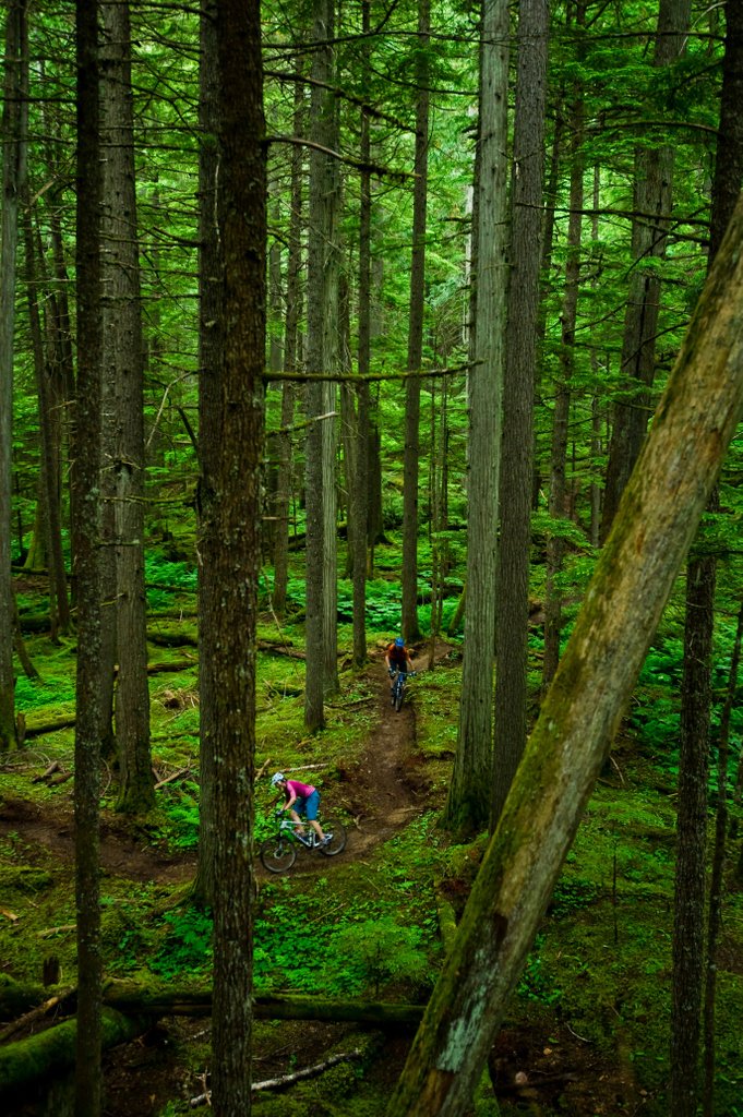 There's no dirt like our home dirt here in Revelstoke! 
⁠
Please note we are not encouraging travel to Revelstoke at this time. 
⁠
📸 @eye_b_long⁠
⁠
#TheRealStoke #BikeRevelstoke #MtbBC #ExploreBCLocal #KootRocks <a href="/bikerevelstoke/">RCA</a>
