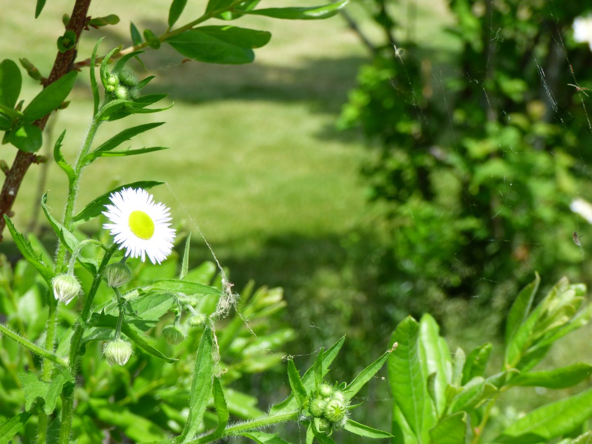 NotesTomorrow's tweet image. There is something mesmerizing about tomorrows they are always a mystery no matter how hard you plan - a thousand variations can spring up spontaneously &amp;amp; erase all your precious decisions. The serendipity of #travel sends out notes from those tomorrows touchstones to follow.