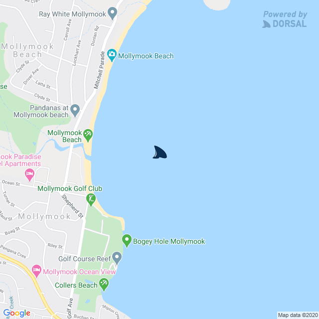 Map Of Mollymook Nsw Dorsal Shark Reports On Twitter: "Official #Sharkreport: Nsw - South Coast  - Mollymook Beach Receiver ‒ Mollymook. 11:02, 07 Jun 20, Receiver Tag →  Https://T.co/Rsrxmoqlyq Https://T.co/5Orsds17Zd" / Twitter