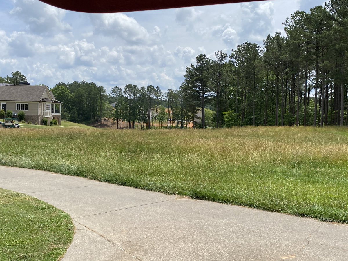 Matt Findley (@findleymatt) on Twitter photo 