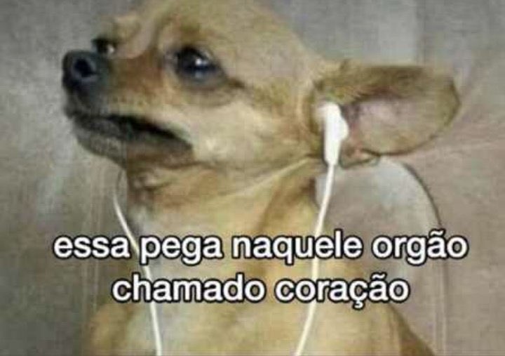 LellaTuitta's tweet photo. #EdsonLima #BatistaLima esses daí sabem como maltratar um coração. Homiii, vá devagar com esse coração véi sofrido ! #GrandeEncontroBrahmaLive #OGrandeEncontroDasVozes  “você é tudo que eu seeeeempre sonheeeeeiiiiii” https://t.co/480hwKYYF4
