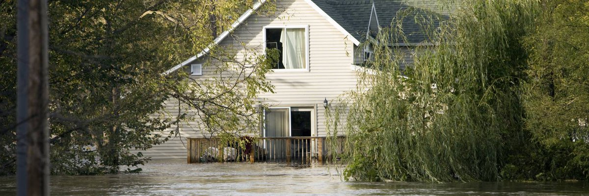 Plurifinances1's tweet photo. Dégât des eaux : découvrez les premiers gestes pour limiter les #dégâts. 🏠#MRH https://t.co/GNeIVWnkMS https://t.co/ma6VZX4cc5