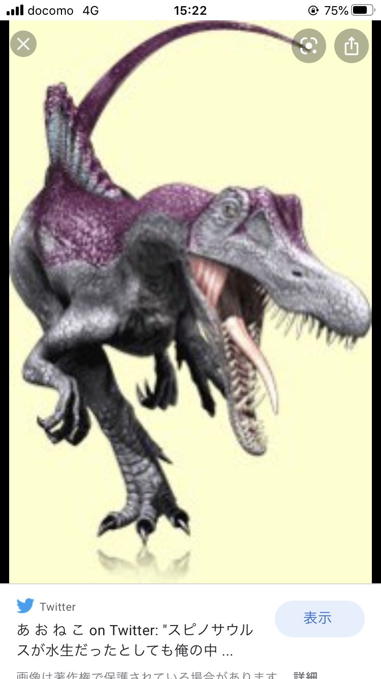 土岐 どんだけ研究が進んでティラノサウルスに毛があったと分かっても スピノサウルスがロアルドロスみたいになっても 俺の中じゃティラノは赤 スピノはスタイリッシュって事は変わんねぇ そう俺の恐竜の知識は 恐竜キングしか受け付けねぇ