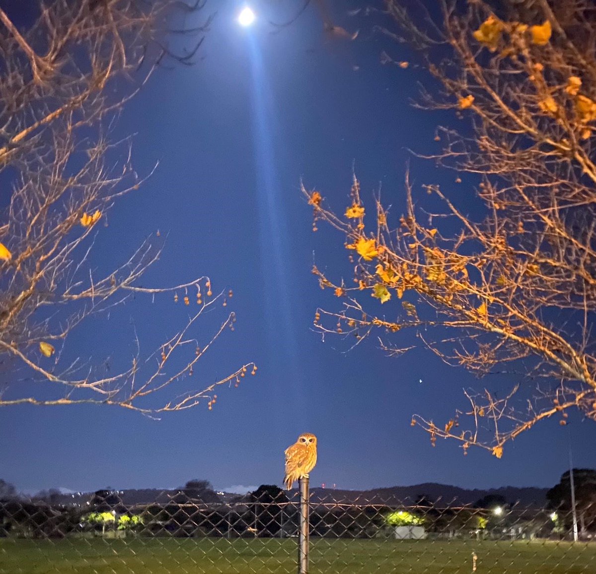 From Willunga to Bowhill and Port Victoria, 7NEWS viewers have captured South Australia's beauty this long weekend. <a href="/TimNoonan7/">Timothy Noonan</a> will have the latest weather forecast in 7NEWS at 6pm. Send your weather videos or photos to 7NEWS Adelaide: m.me/7NEWSAdelaide #7NEWS