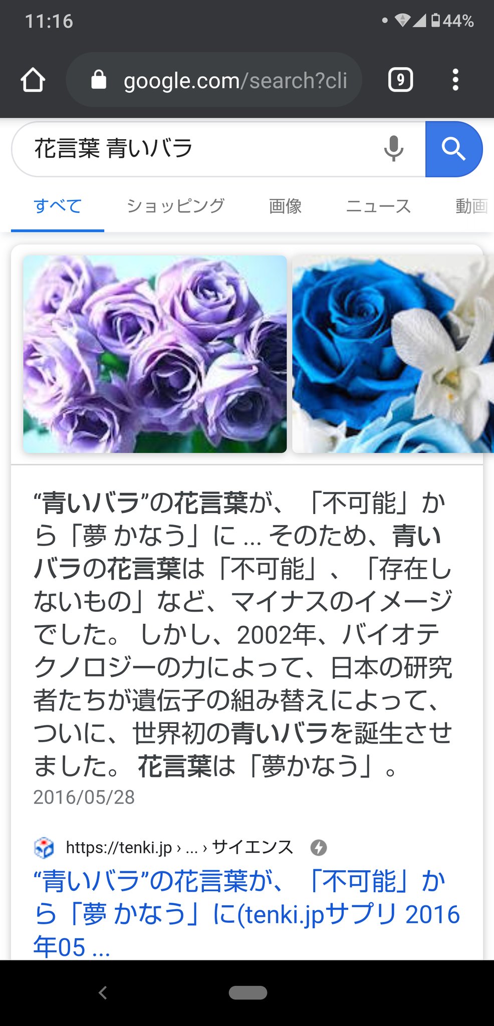 あたたかい布団とサトリ 解答 夢かなう サントリーブルーローズアプローズの花言葉は 夢かなう アプローズは 喝采 の意 他は 永遠の幸福 は青いカーネーション 辛抱強い愛 は青い紫陽花 どこでも成功 はネモフィラの花言葉でした