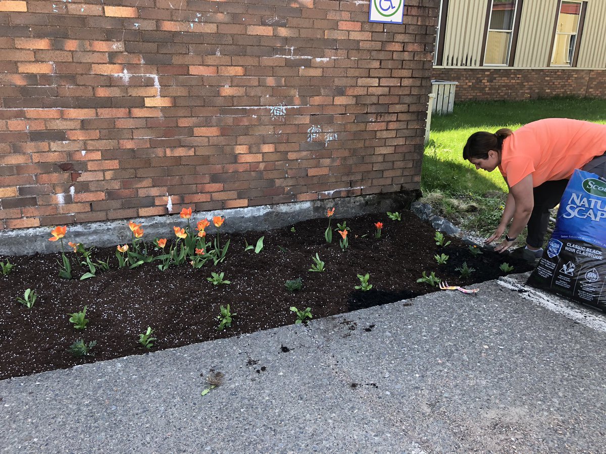 Adding a little beauty to the school! Proud Huskies! 😊