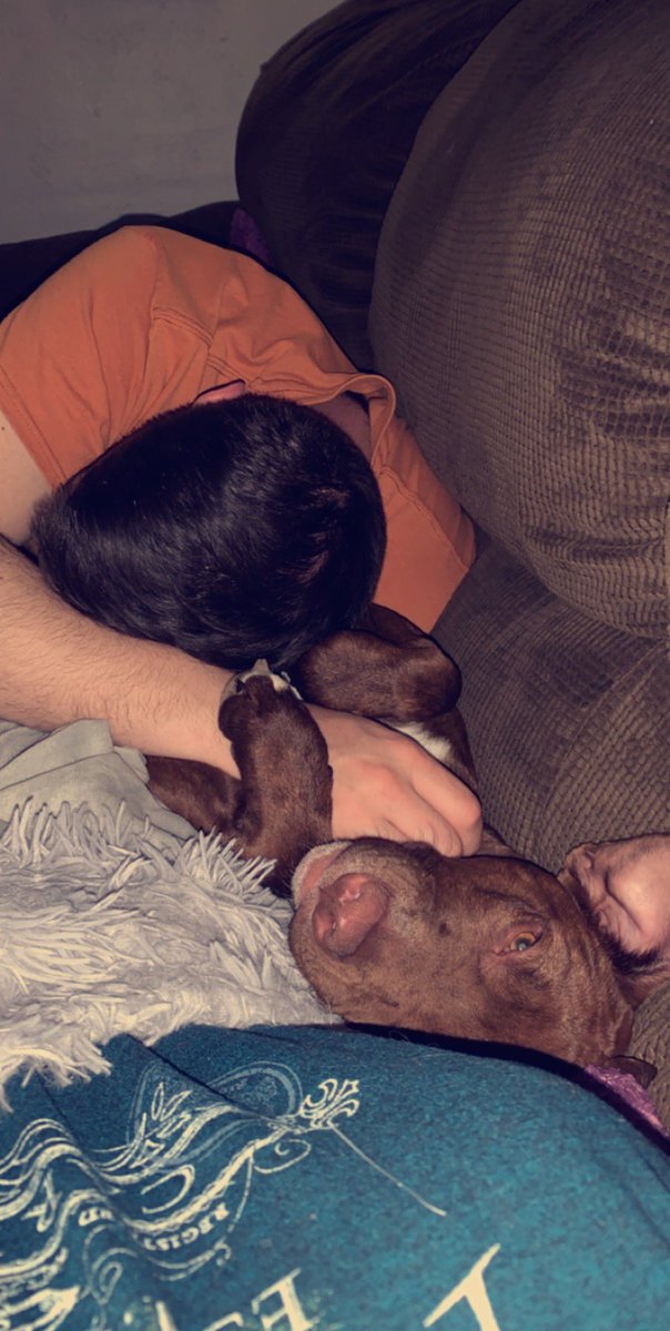 Awhittty's tweet photo. If anybody has seen my puppy running around Cheektowaga area please message me. Last seen on union &amp; William. Her name is millie. https://t.co/eWiQcWKSnl