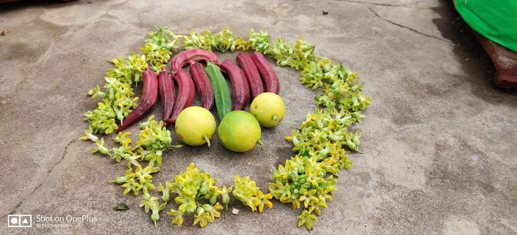 Arathi12170264's tweet image. Today&apos;s harvest in my terrace garden 🙂