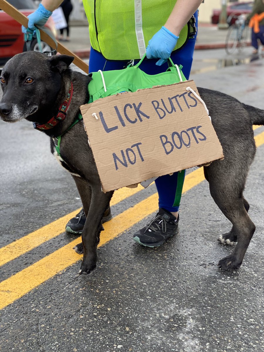 you heard what they said