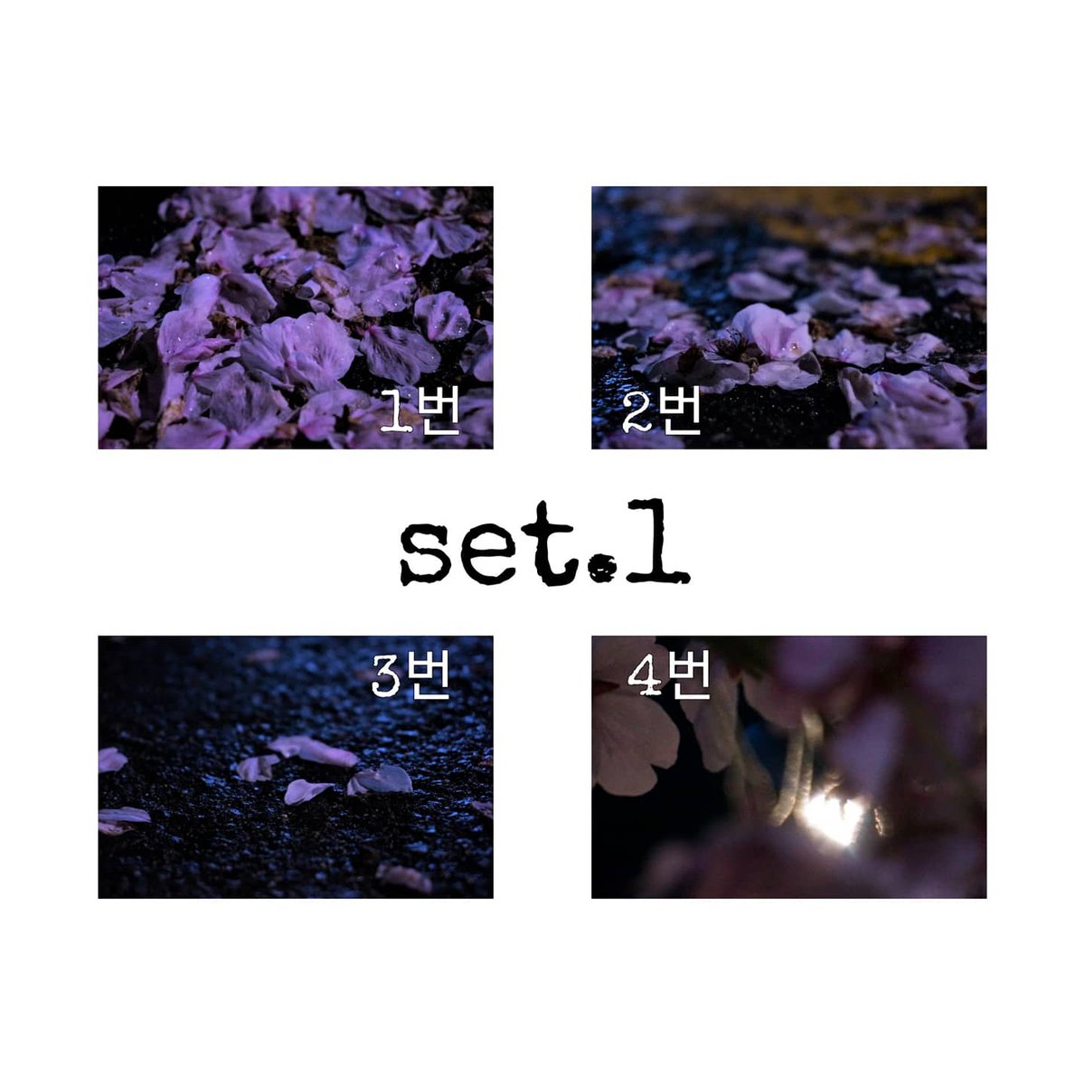 nannamind's tweet photo. 💌 RT + 팔로우 이벤트 💌

6월 12일까지 진행되는 포스터, 엽서 판매 홍보를 위한 알티이벤트!
난나의취향 계정 팔로우 + 이 트윗을 알티하시면 한 분을 추첨해 지금 판매 중인 <푸른, 파도> 패브릭포스터 1장과 엽서 1세트 + 민음사 북클럽 회원권을 보내드립니다!

당첨 발표는 6월 12일 저녁 9시! https://t.co/ExGTTnCsaD