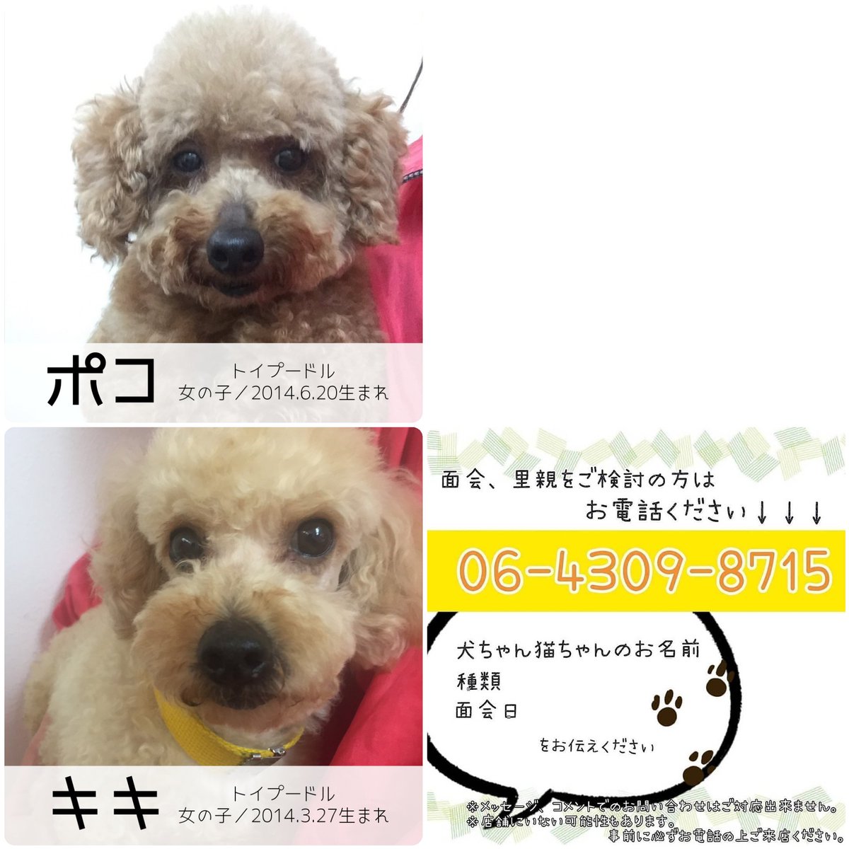 家族募集中