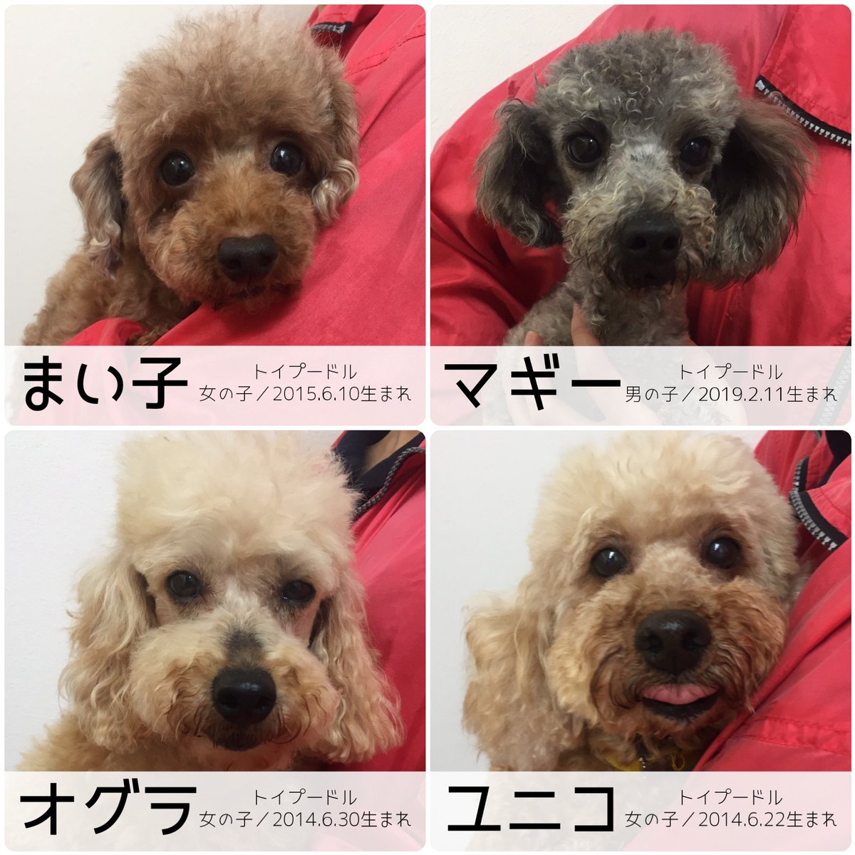 家族募集中
