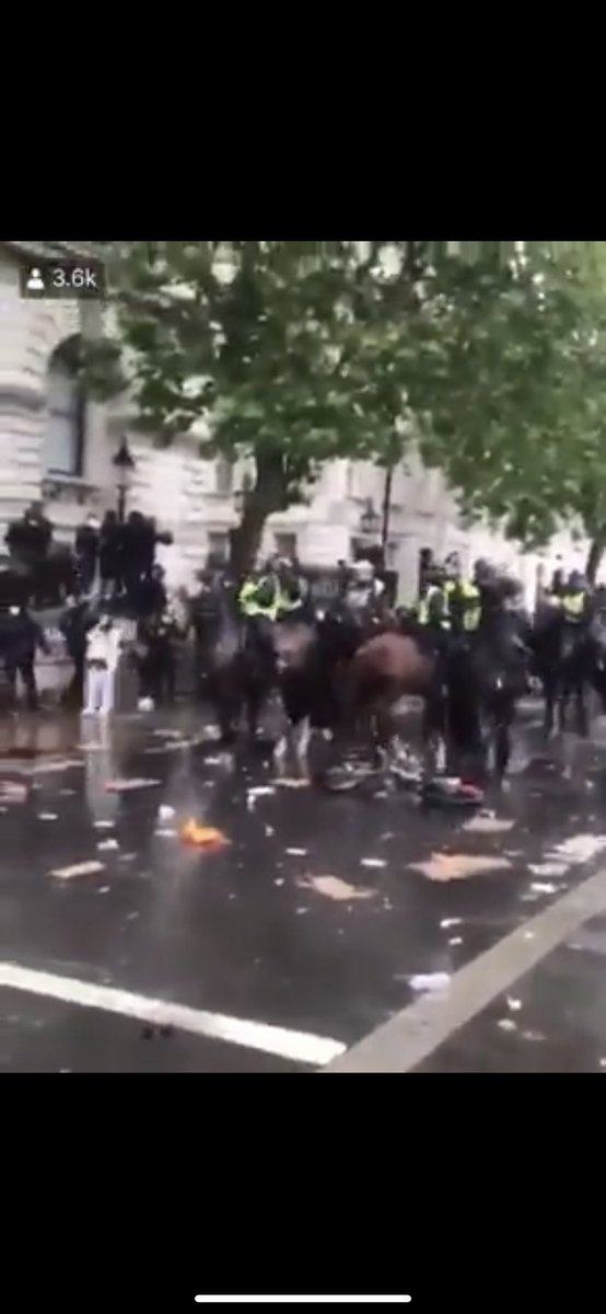 JessMurdoch's tweet photo. throwing a bike at a police horse during a “peaceful” protest is DISGUSTING  behaviour. This certainly does NOT help support #BlackLivesMattters . Your just a Scum. https://t.co/6Xs7o1CcBx