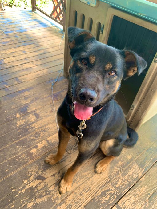 まろ眉のtwitterイラスト検索結果