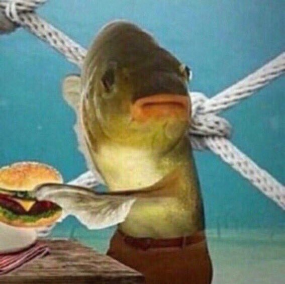 Navh_cod's tweet image. There’s a high school esports league for brissy hol up