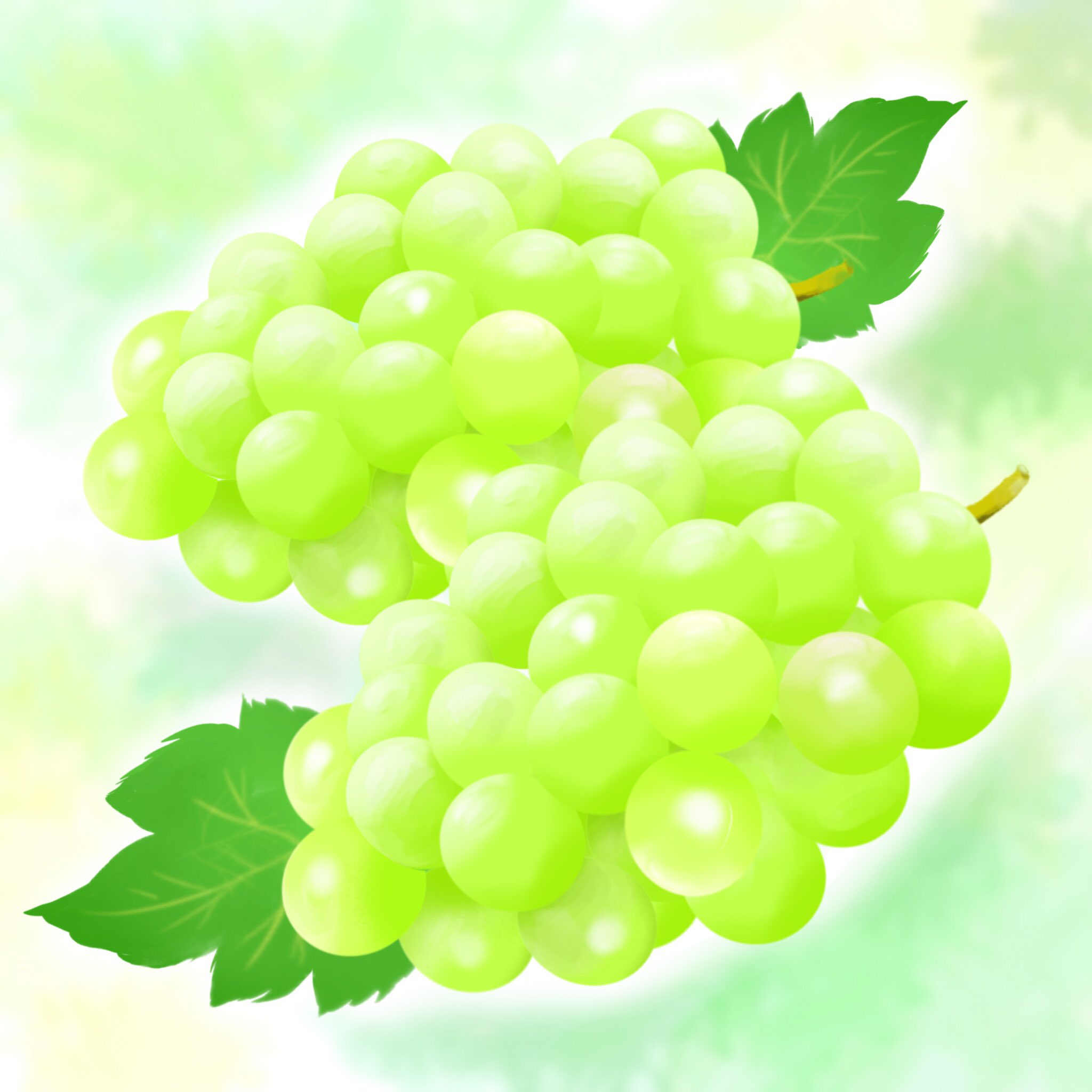 ぶどうのイラスト Twitter Search Twitter