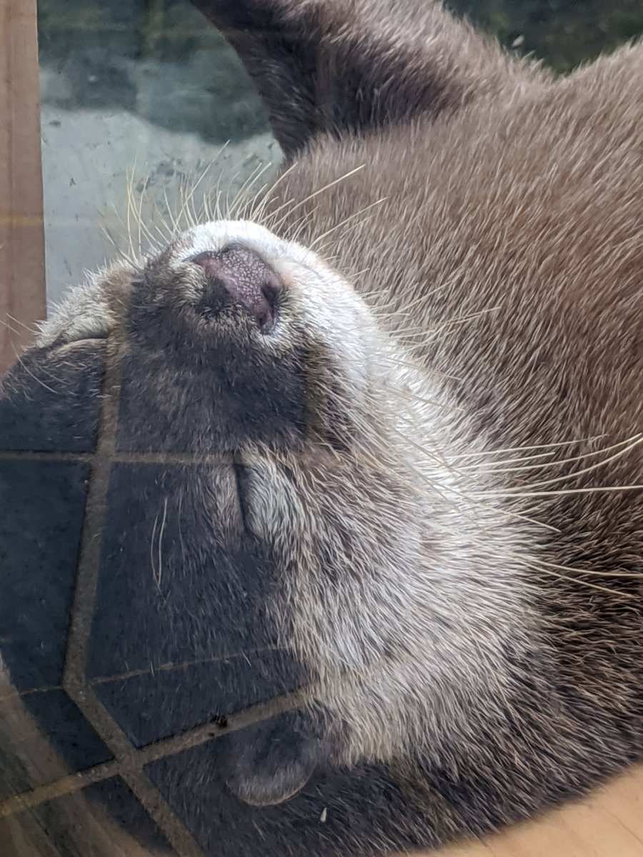 بسمة هشام (@basmahisham_612) on Twitter photo 