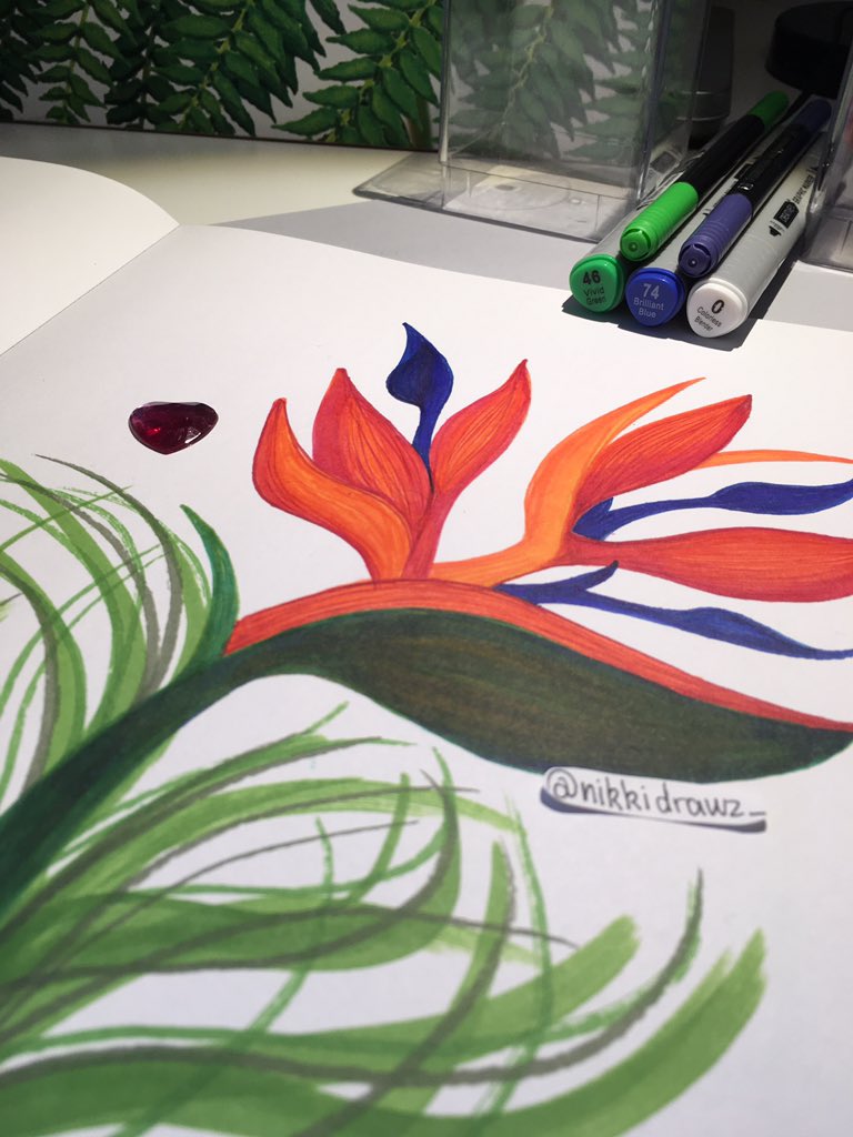 nikkidrawz_'s tweet photo. 𝓑𝓲𝓻𝓭 𝓸𝓯 𝓹𝓪𝓻𝓪𝓭𝓲𝓼𝓮 🌱🧡
Had a fun time creating this!! Bird of paradise is my favourite flower (plant?)
USED:
@ALDIAustralia ‘s Graphic Markets: Brights
&amp;
@STAEMars Double-ended permanent pens 
#art #artistoninstagram #artistontwitter #drawing #flowerart #flower https://t.co/rpeR81aRWJ