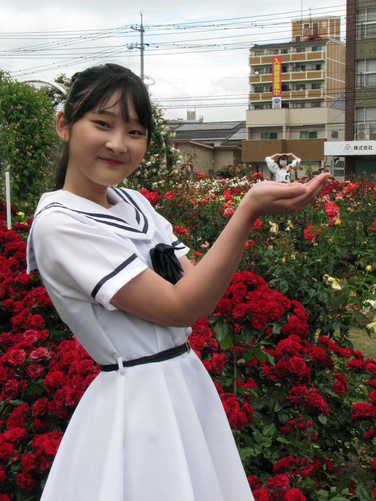 福山ばら公園 Twitter Search Twitter