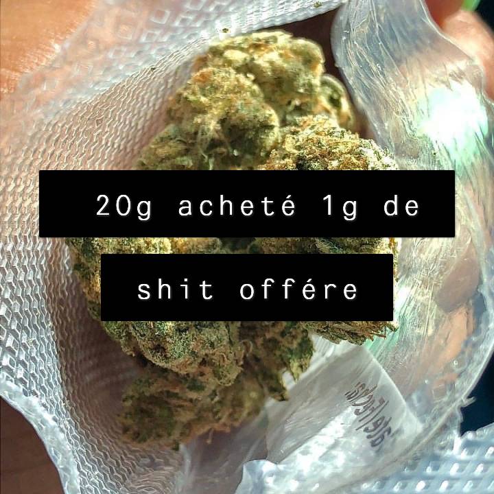 VladimirWeed's tweet photo. Livraison rapide et discret 35min maxi
À partir de 100balles
Télégram : @vladimirweed20
Snap: Vladimirweed20
Email: dleon8717@gmail.com
🇫🇷🚬🌿

#Lecannabiste #cannabis #chanvre #histoire #technologie #agriculture #culture #patrimoine #ecologie #demainnousappartient #DNA #Drogues https://t.co/J6cVKFVMbh