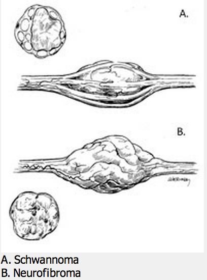 Orthobullets tweet media