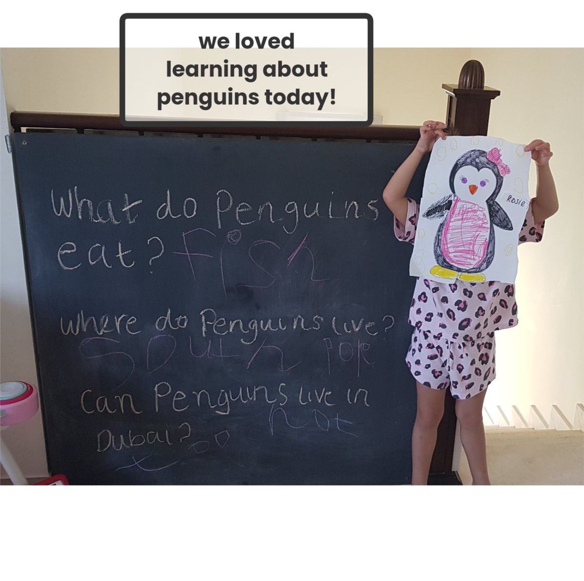 DBFFS2Turquoise's tweet photo. We are loving our new book this week! @DubaiBritishFS https://t.co/ieH9JqSQbw