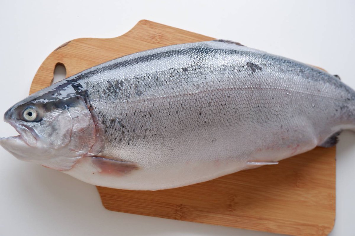 ノリで買った3kgサーモン2日目はカルパッチョだ!!
昨日、塩締めしたからよ、全く臭みがなく超旨ぇ。

魚をキロで買ったら塩締めした方がいいぞ!!臭みのもとになる水分が抜けて旨味が凝縮すっぞ!!