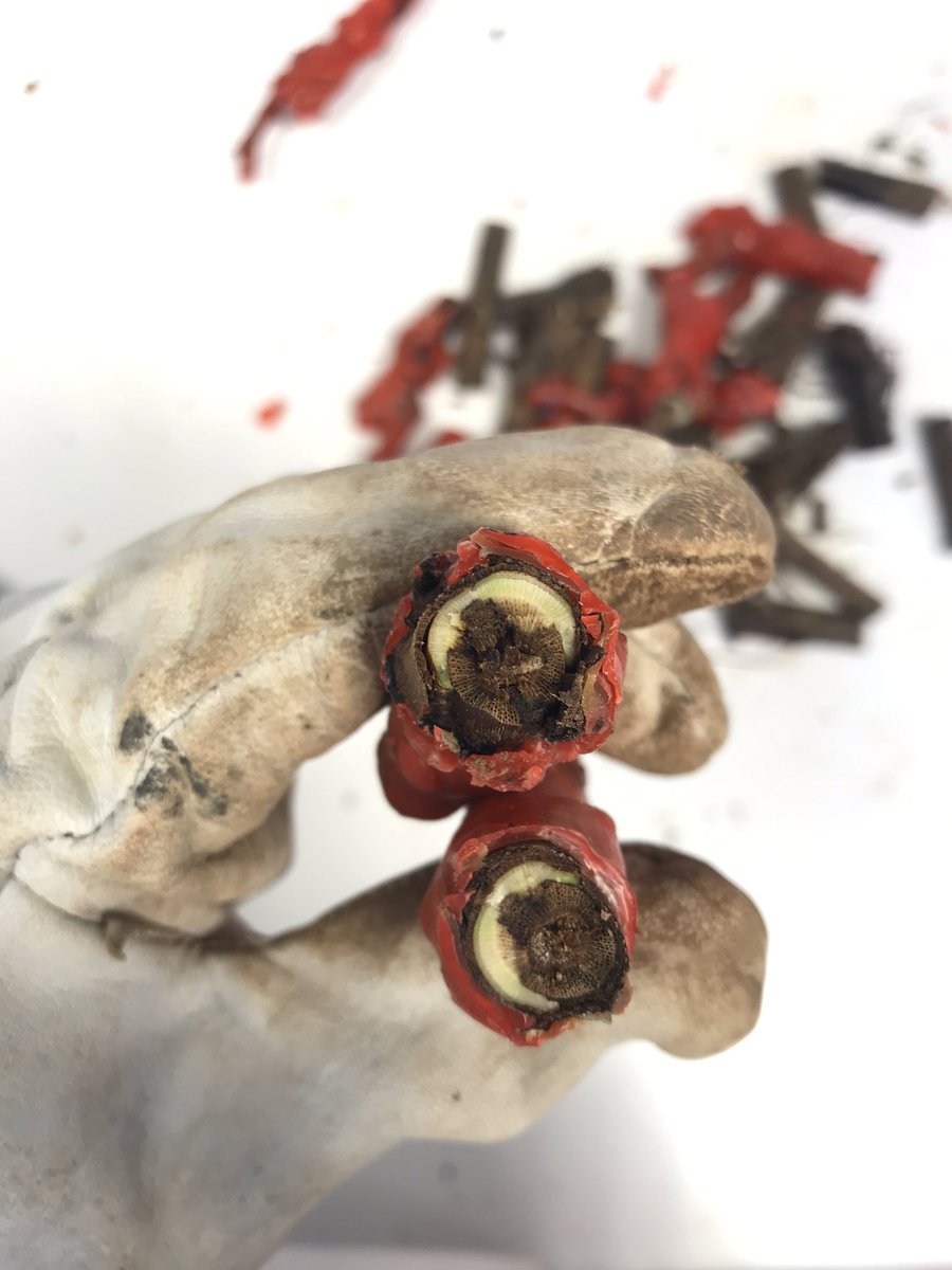 biovitis tweet picture