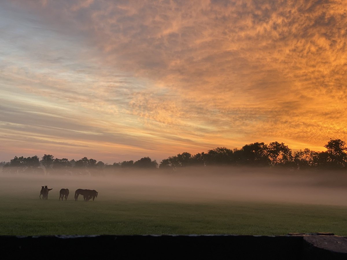 LanesEndFarms's tweet image. The best part of the day #sunrise #farmlife