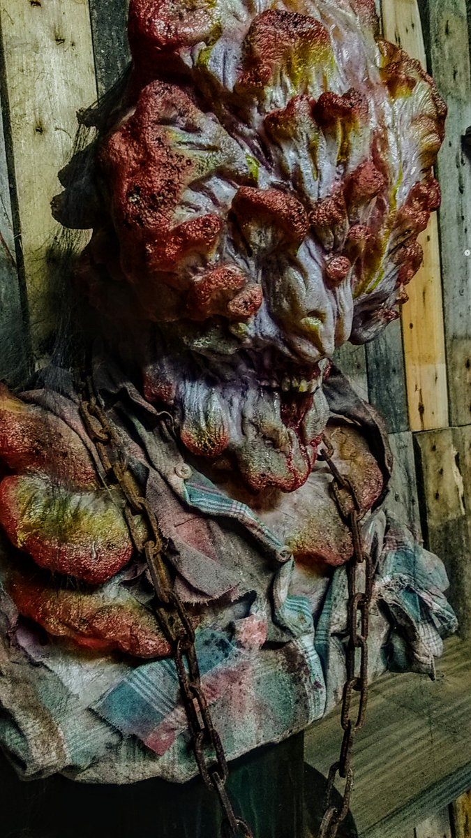 Le copain est terminé ! 24h de travail pour ce brave Monsieur ❤️