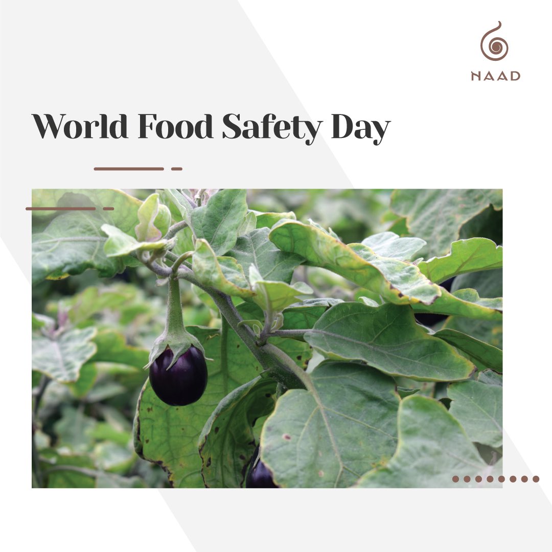maintain a small kitchen garden at home, as nothing comes even remotely close to the taste and experience of home-grown produce for a home-cooked meal. 

#WorldFoodSafetyDay #FarmToForm #KitchenGarden #HomeGrown #HomeCooked #HealthyLiving #EatRight #NaadWellness #ForASoundYou