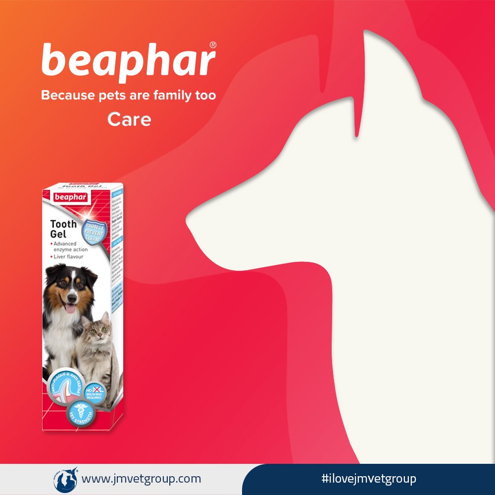 jmvetgroup's tweet photo. beaphar - Toothgel
ژل دندان با طعم جگر
100 gr ✨❤️🐶🐱❤️✨
#ilovejmvetgroup
#jmvetgroup
#beaphar
#beaphariran
#beapharcare
#بیفار
#بیفار_ایران https://t.co/ADwrLTRBsH