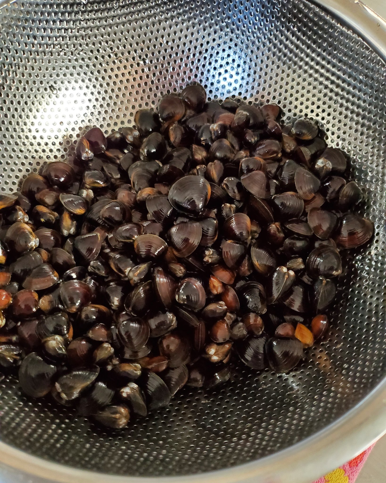 シジミ採り Twitter Search Twitter