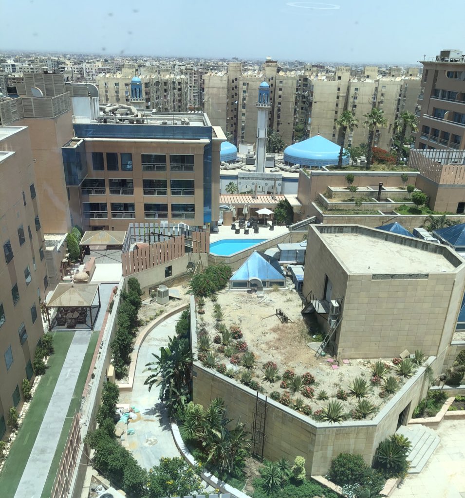 Day 2/7 #mylifeinpictures Rules: No words, no People. 
Nominate someone everyday. 
I was nominated by <a href="/Mohamed72371258/">Mohamed Safwat</a> today i nominate <a href="/rashad7772000/">Ahmed Rashad</a>