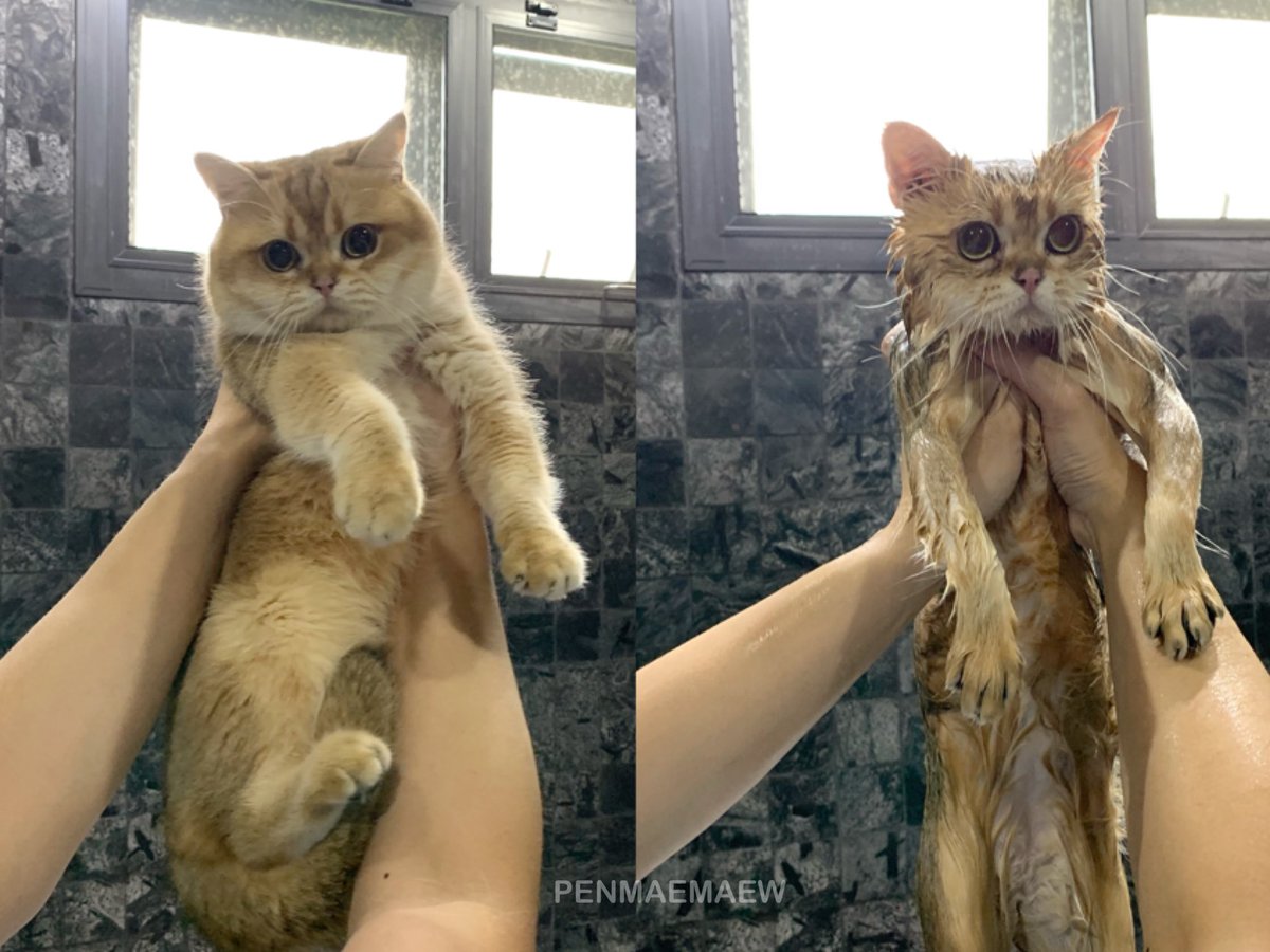 Bonusiie's tweet image. มานุดอย่าหาทำ