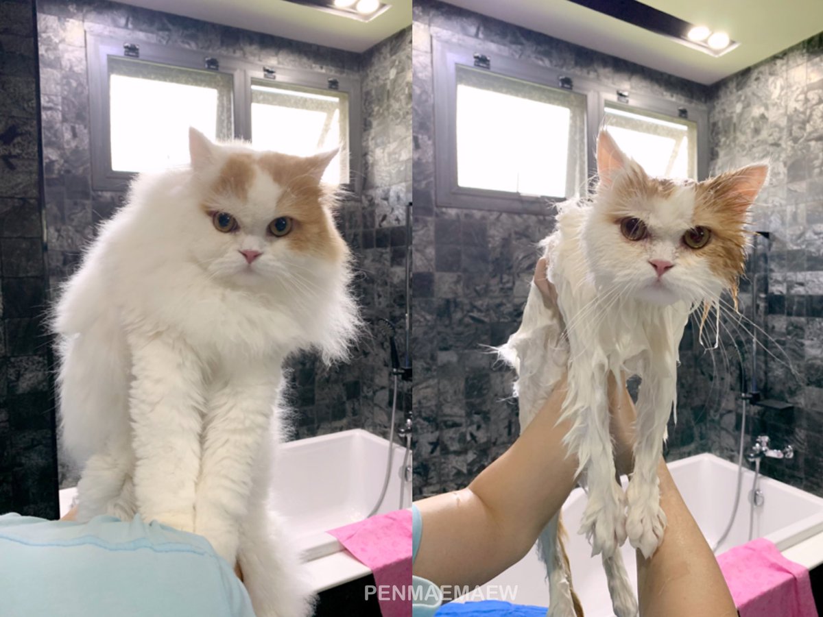 Bonusiie's tweet image. มานุดอย่าหาทำ