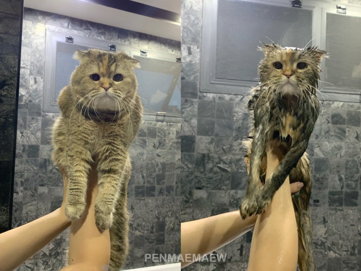 Bonusiie's tweet image. มานุดอย่าหาทำ