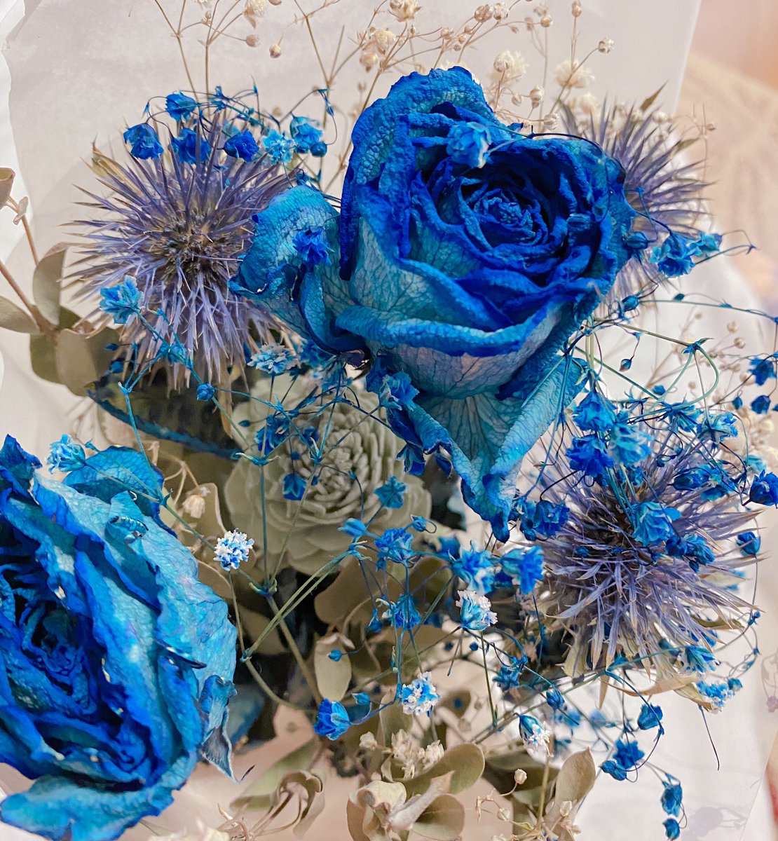 みて とても綺麗な青い薔薇のドライフラワーをお迎えしたの いい香りもする かわい 麗亜 10 11南3チ56aのイラスト